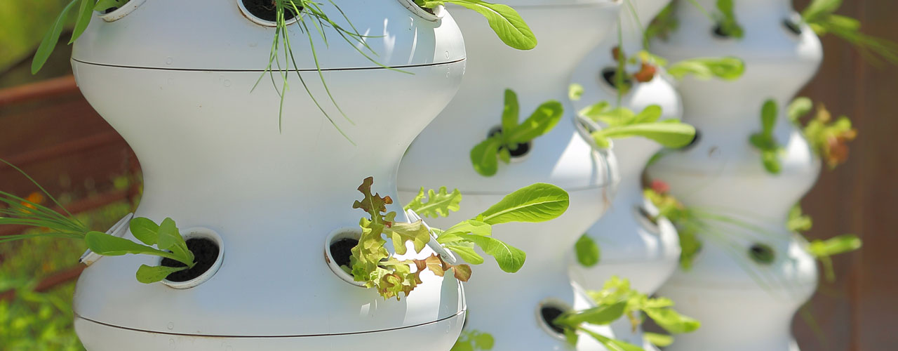 Lettuce Grow Pump Studios